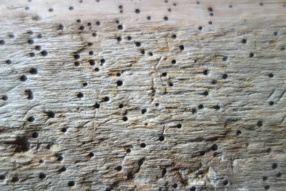 Agujeros de carcoma en la superficie de una viga de madera